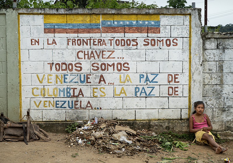 Migraciones: seguir la vida en otro lugar